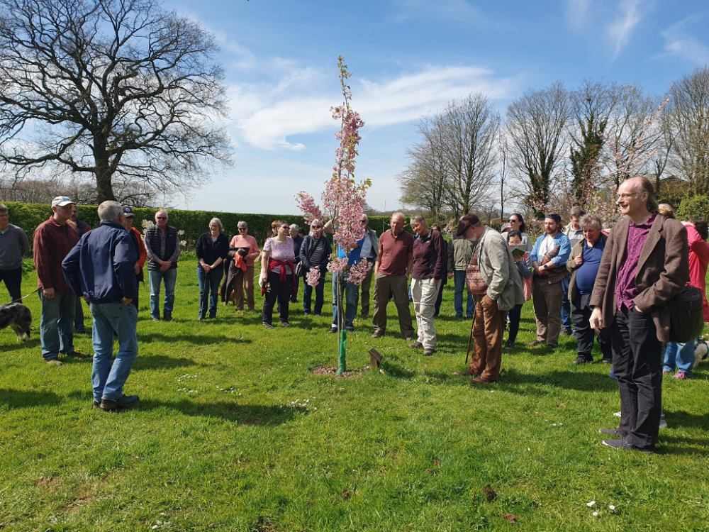 Cherry Blossom Walk April 7